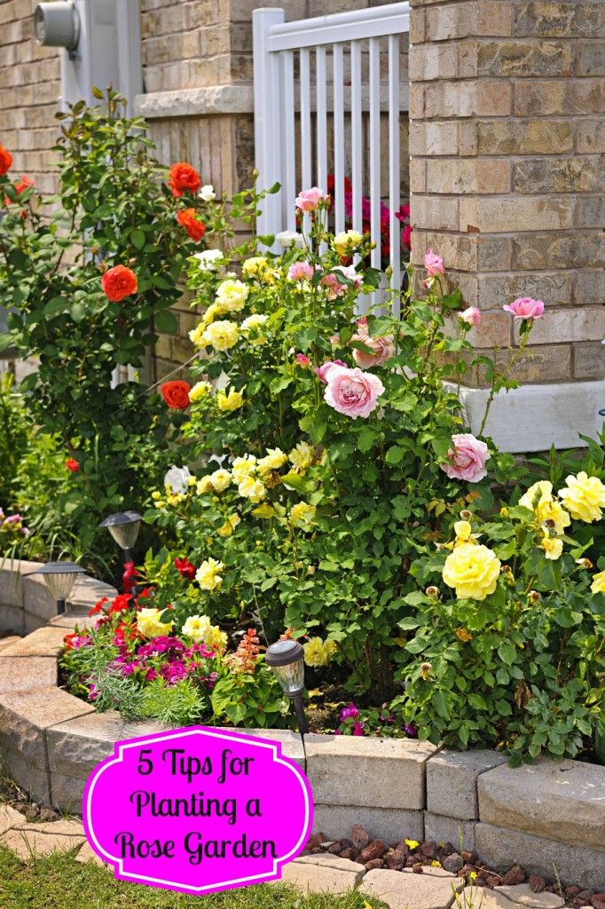 a garden filled with lots of flowers next to a house