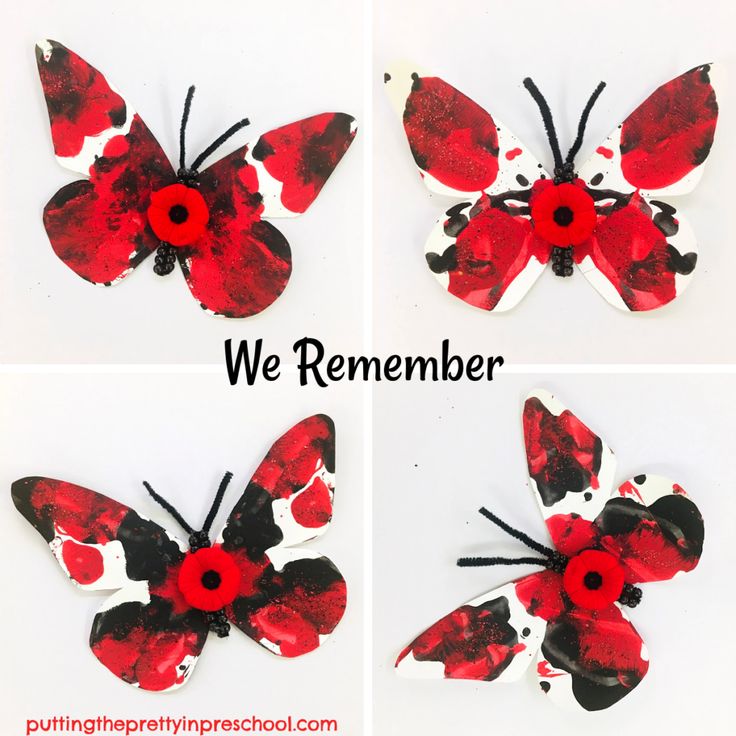 four pictures of red and black butterflies with the words we remember written in white letters