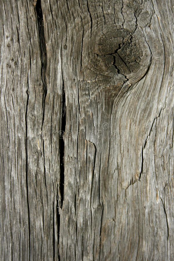 an old wooden surface with peeling woodgrain and knots in the middle stock photos