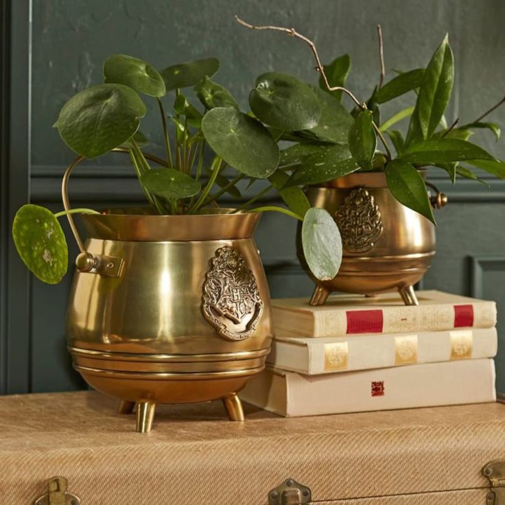 two brass vases with plants in them sitting on top of some books and luggage