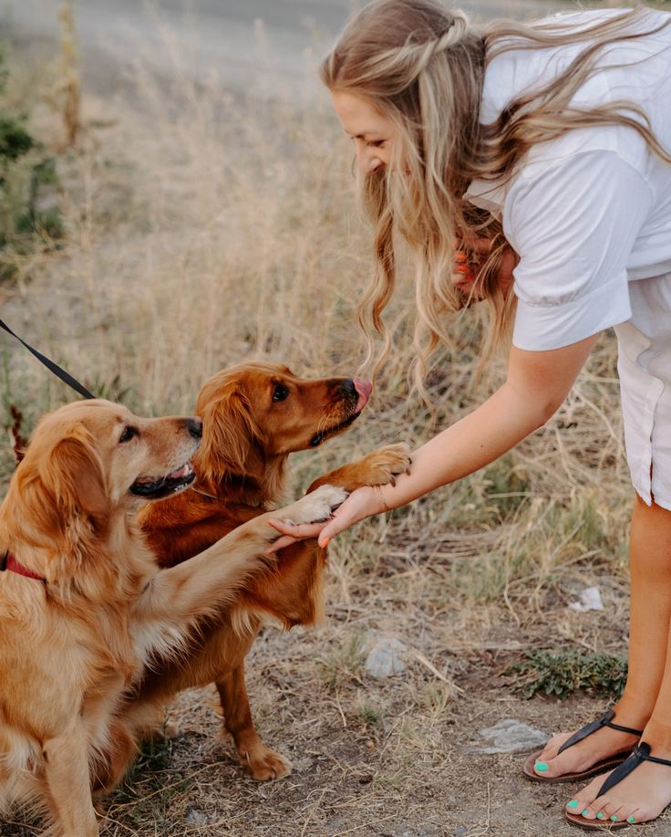 a woman is petting two dogs in the field