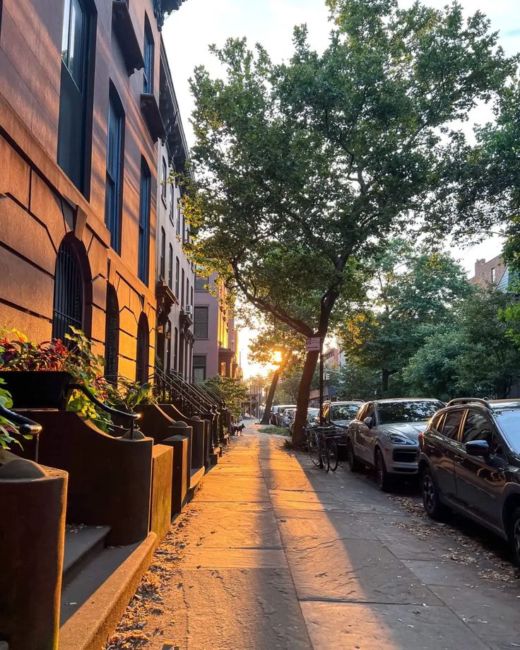 cars parked on the side of a city street next to tall buildings and green trees