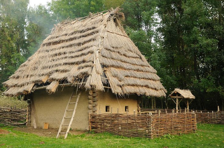 a small hut with a thatched roof in the woods