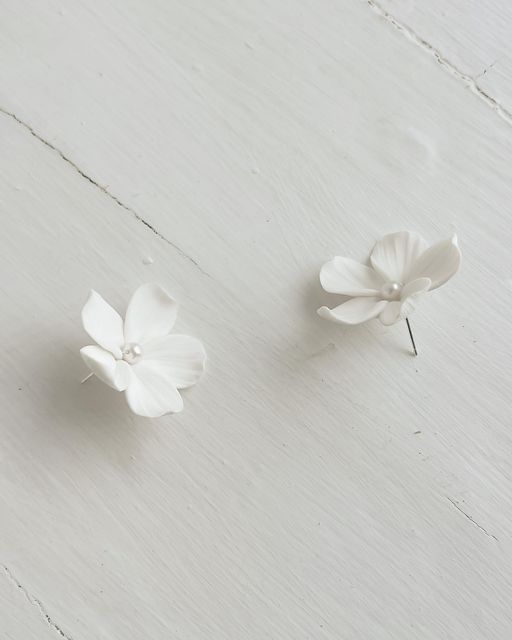 two small white flowers sitting on top of a wooden table next to each other,