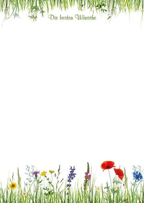 a field full of flowers and grass with a white background