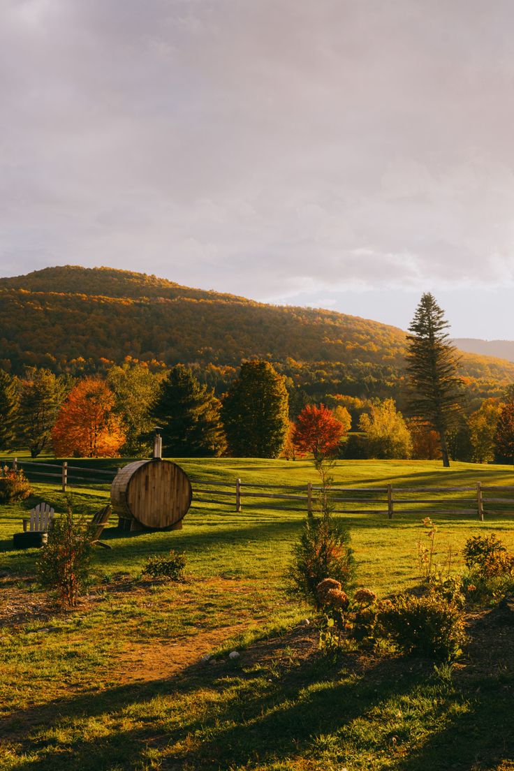 an open field with trees and mountains in the background