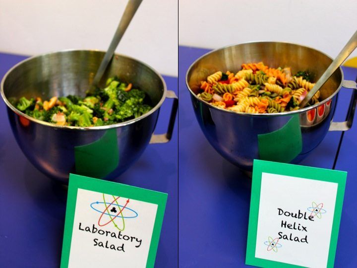 there are two pictures of food in the same bowl and one is labeled laboratory salad