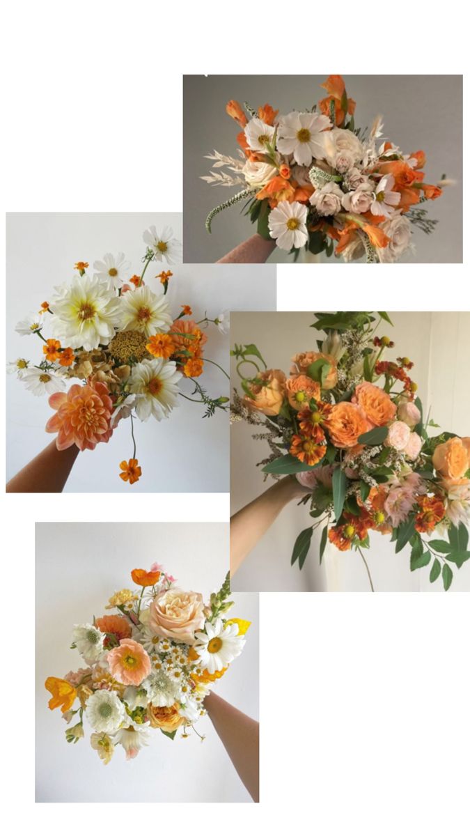 four different images of flowers in various stages of blooming, from orange to white