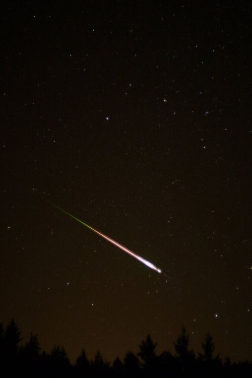 an airplane flying through the night sky with trees in foreground and stars in the background