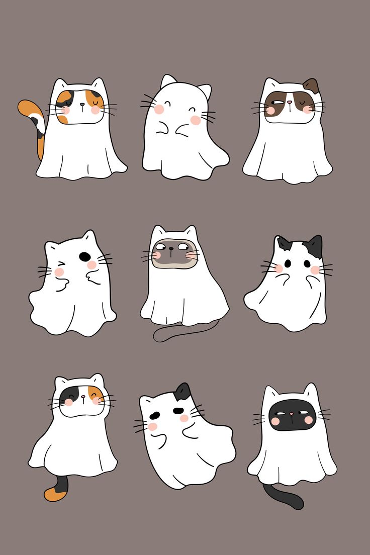 a bunch of cats that are all different shapes and sizes, including one cat with an orange nose