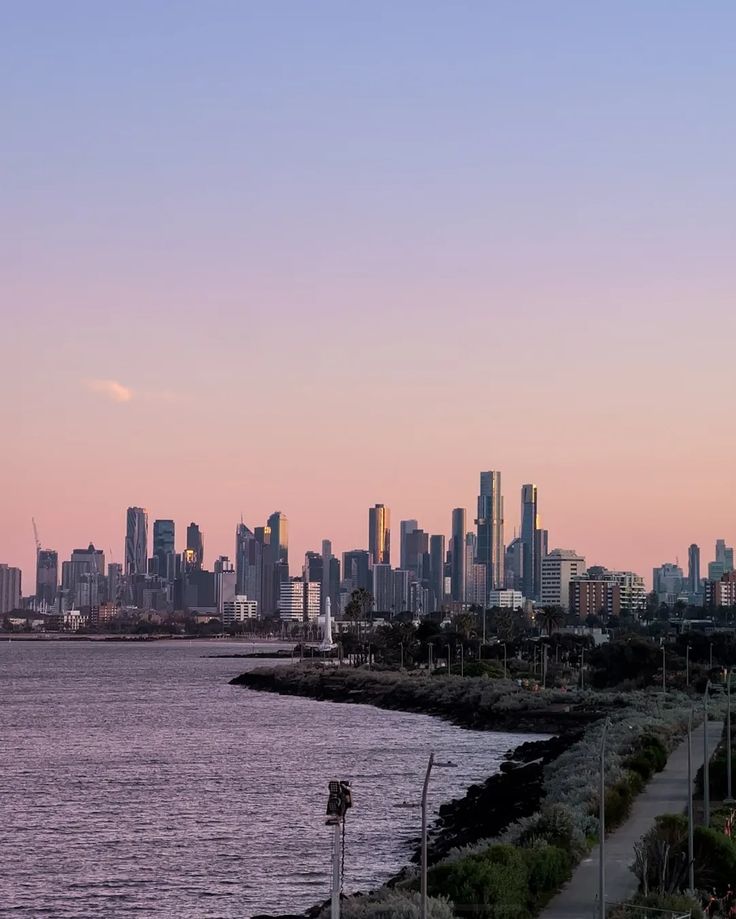 a city skyline is seen from across the water at sunset or dawn, with palm trees in foreground