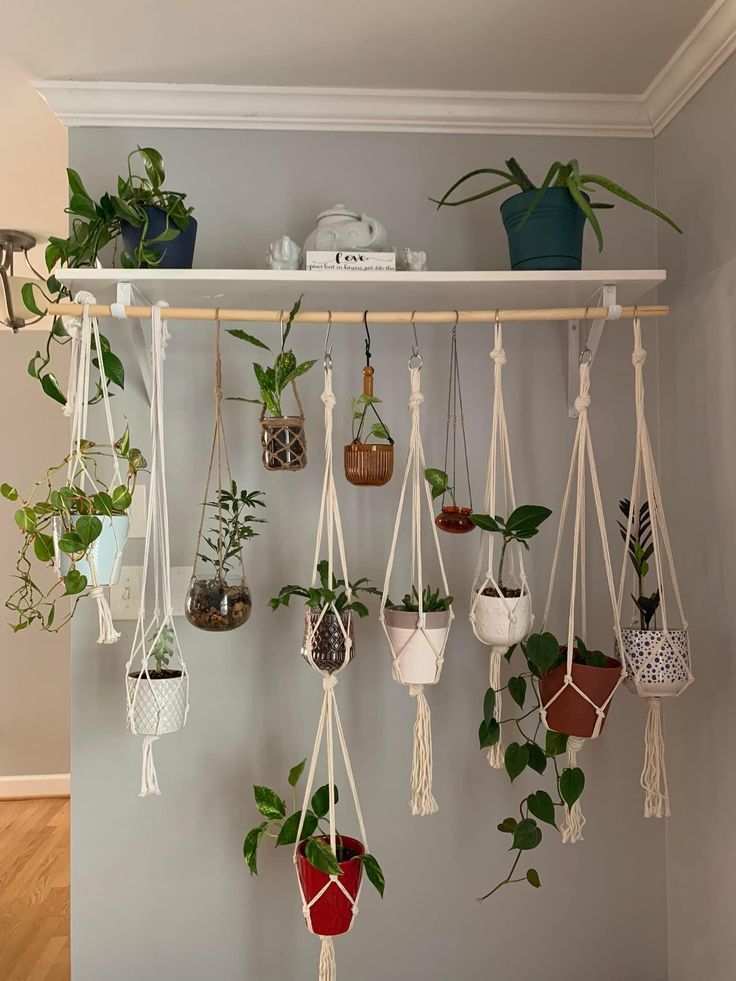 several hanging plants in pots on a shelf