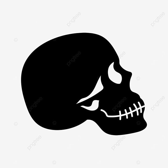 a black and white silhouette of a skull on a light gray background, skeleton, illustration png and psd