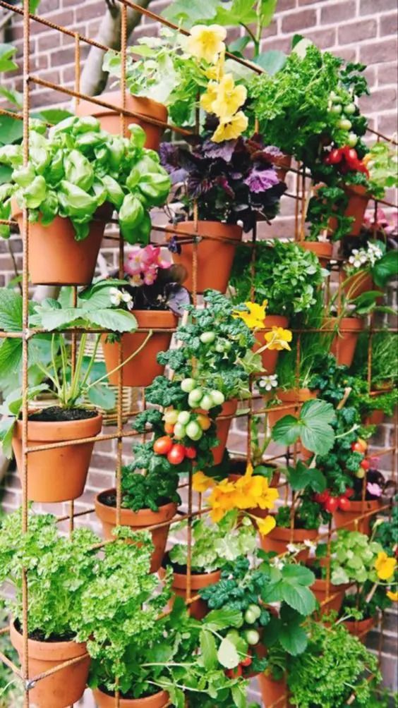 an outdoor garden with lots of plants growing on the side of a brick wall,