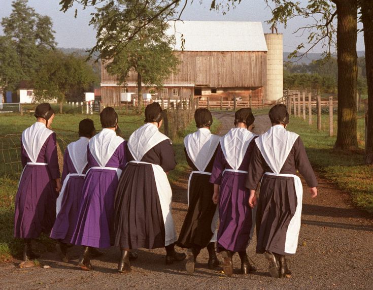 five women in purple and white robes walking down a road with a barn in the background