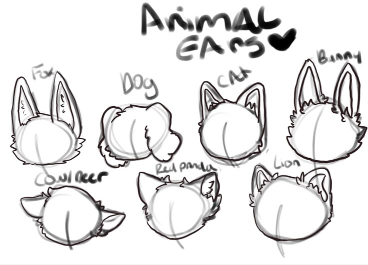 Animal ear refrences multiple animals Ears Drawing, Drawings Of Cats, Animal Poses, Art Bases, Character Making, Some Drawings, Body Base Drawing, Creative Drawing Prompts, Action Pose