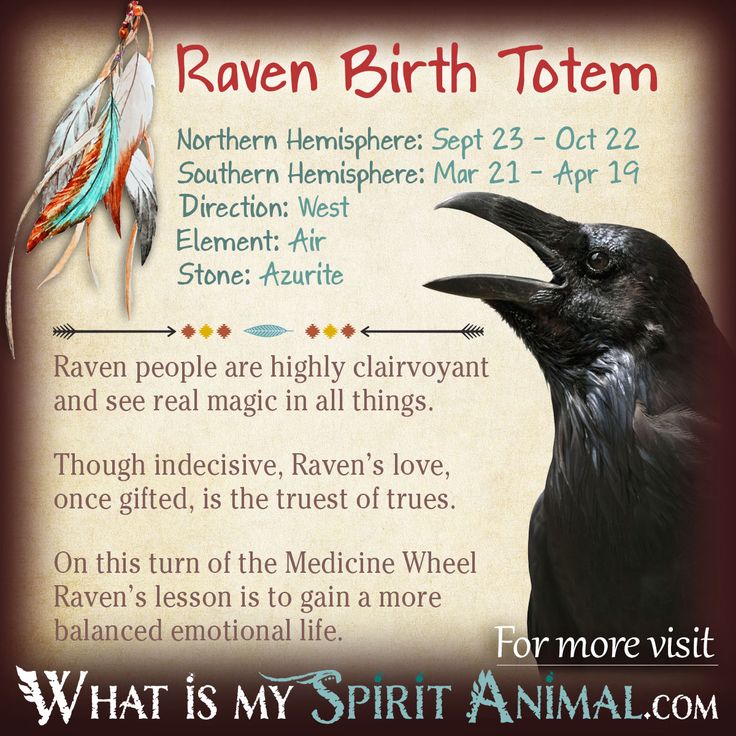 a black bird with feathers on it's head and the words raven birth totemm