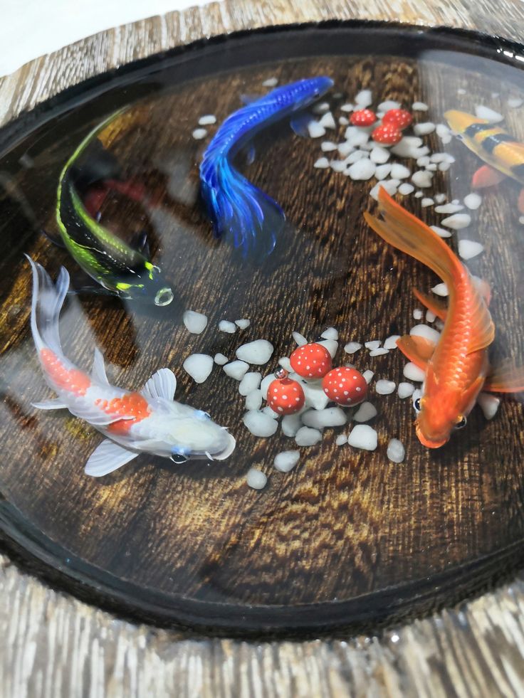 several koi fish are swimming in a pond with rocks and pebbles on the bottom