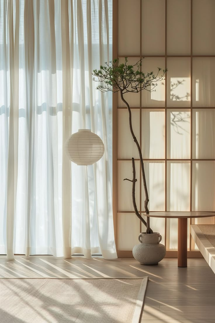 a bonsai tree in a white vase next to a window with sheer drapes