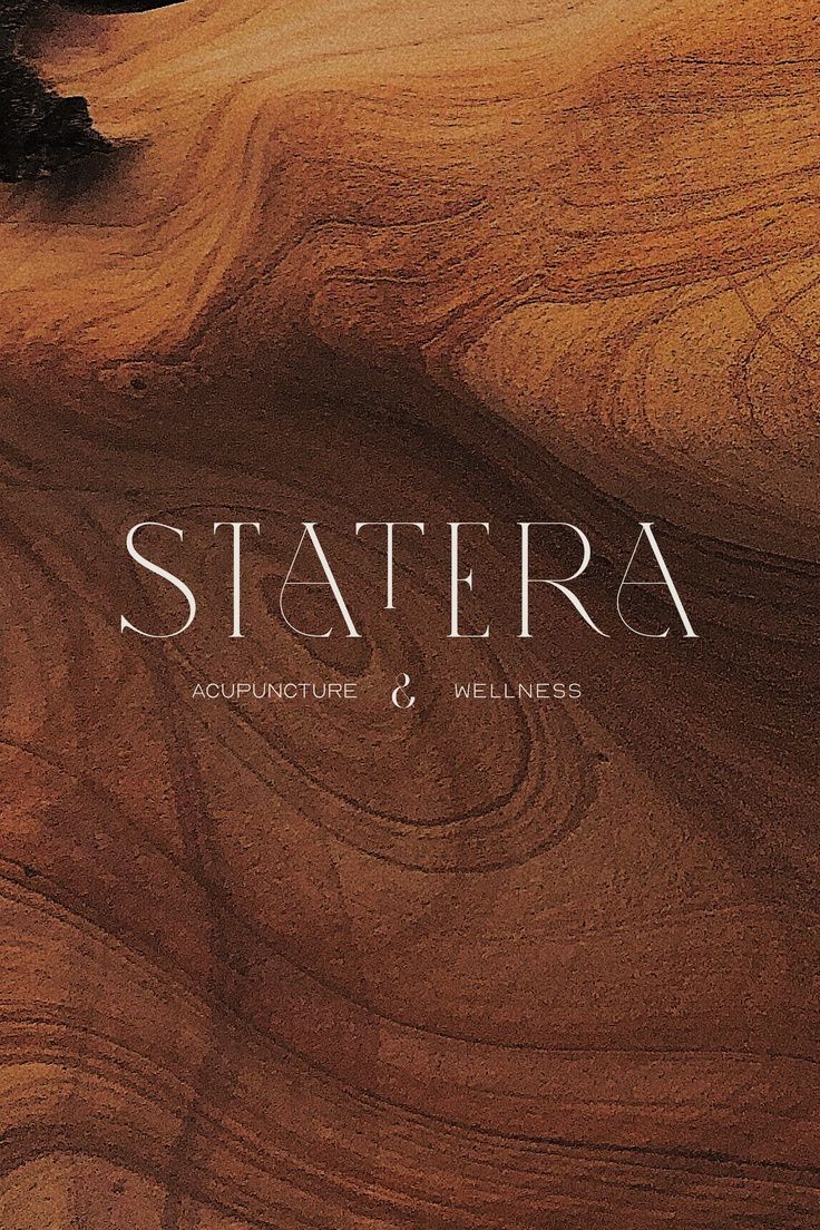 the cover of statera architecture and wilderness