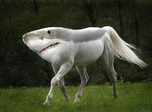 a white horse with its mouth open and it's face partially hidden by the tail