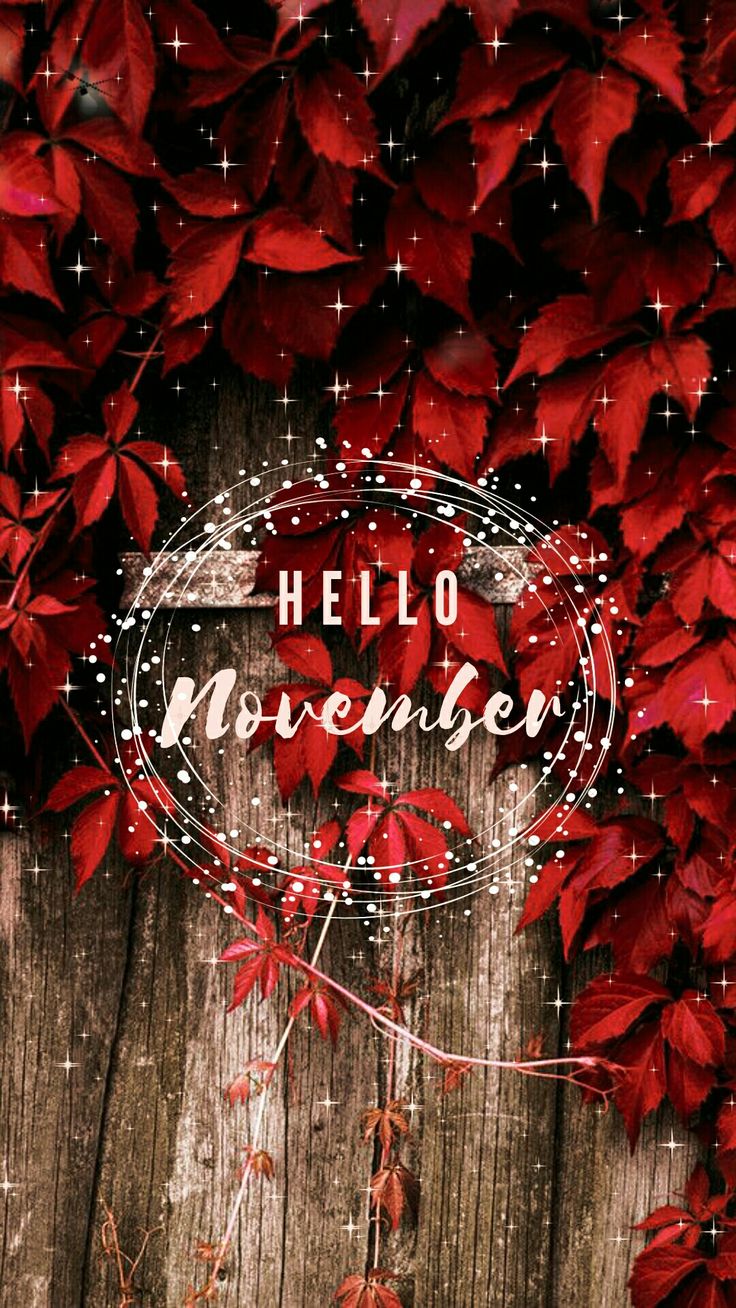 a wooden fence covered in red leaves with the words hello november written on it's side