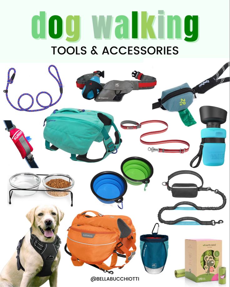 dog walking tools and accessories are featured in this poster with the words, dogs walking tools and accessories