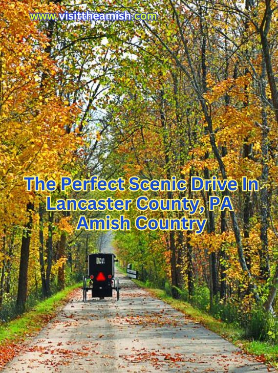 the perfect scenic drive in lancaster county, pa amish country