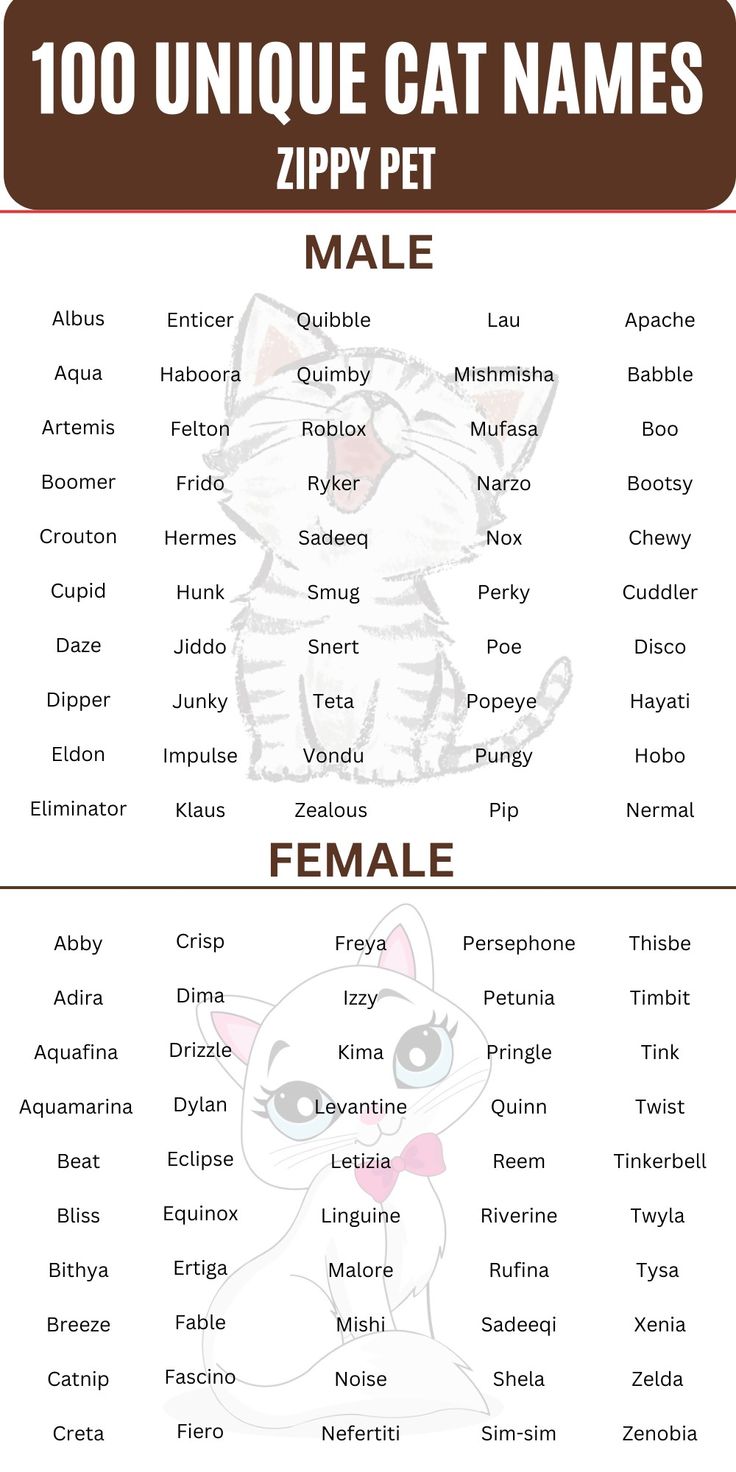 a poster with different types of cats and names for each cat's name on it