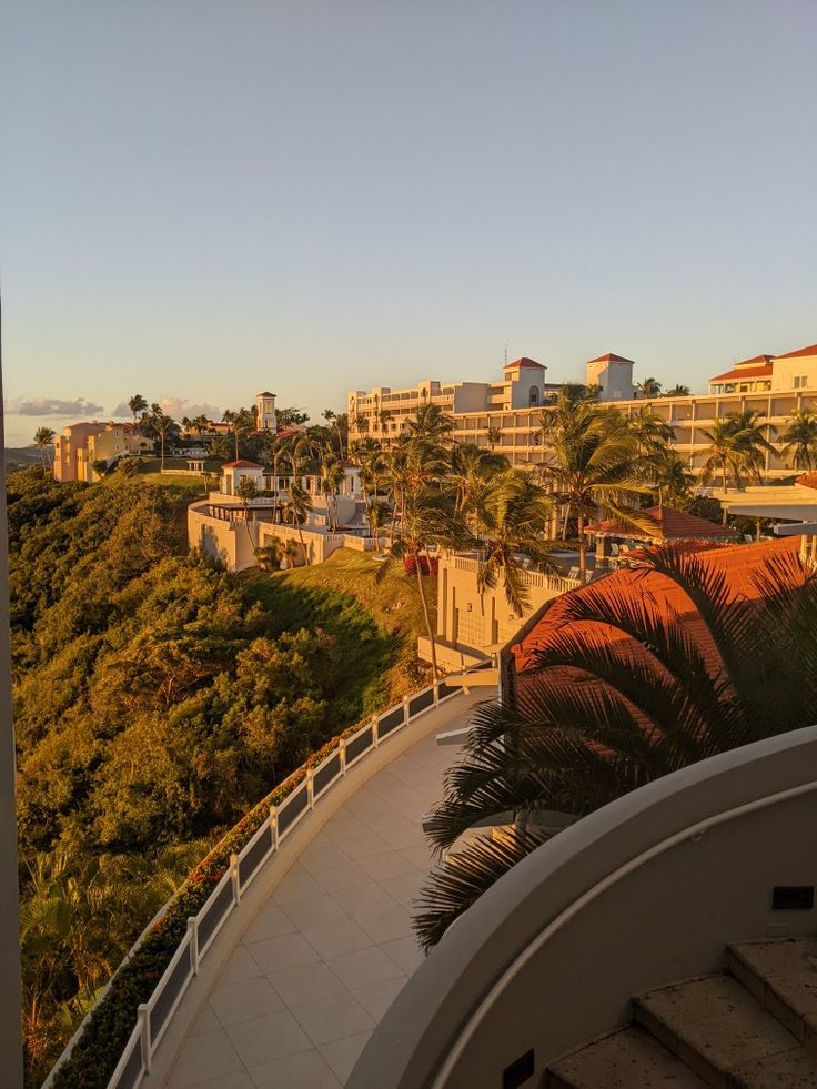 an aerial view of some buildings and palm trees in the foreground, with stairs leading up to them