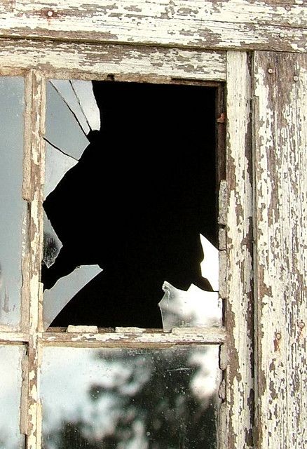 a broken window with the reflection of a dog in it