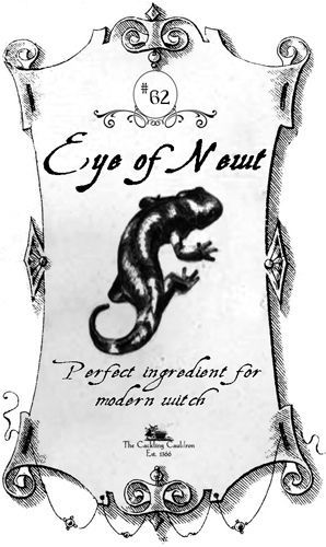 an advertisement for the company called eye of naut, featuring a gecko on it