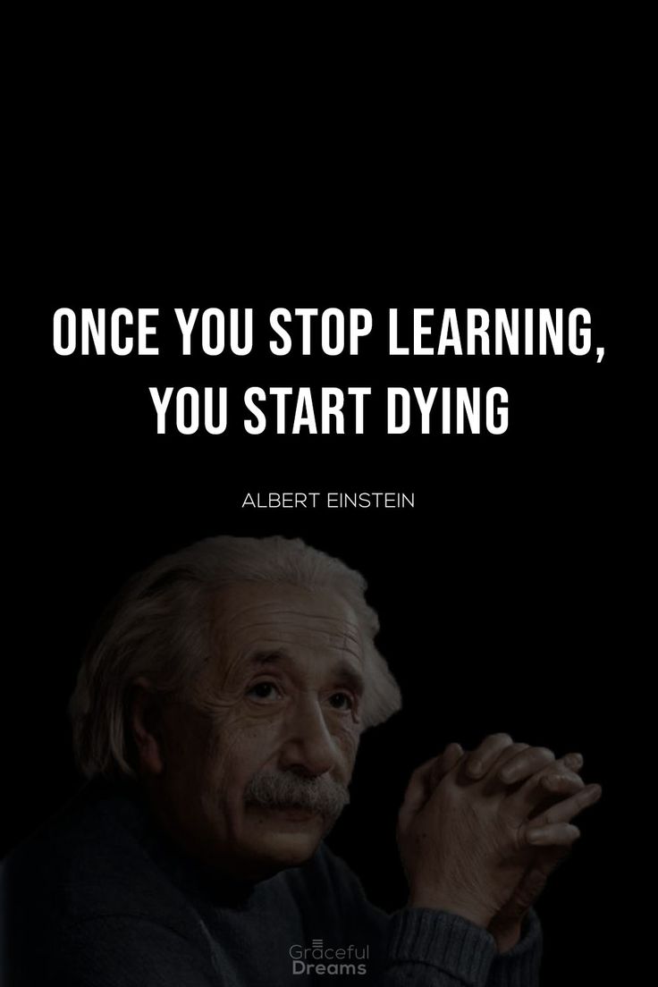 albert einstein with the quote any fool can know, the point is to understand it