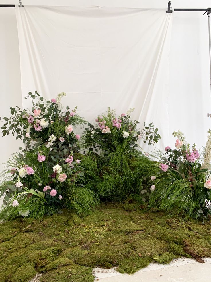 moss covered ground with flowers and plants in front of a white backdrop on the wall