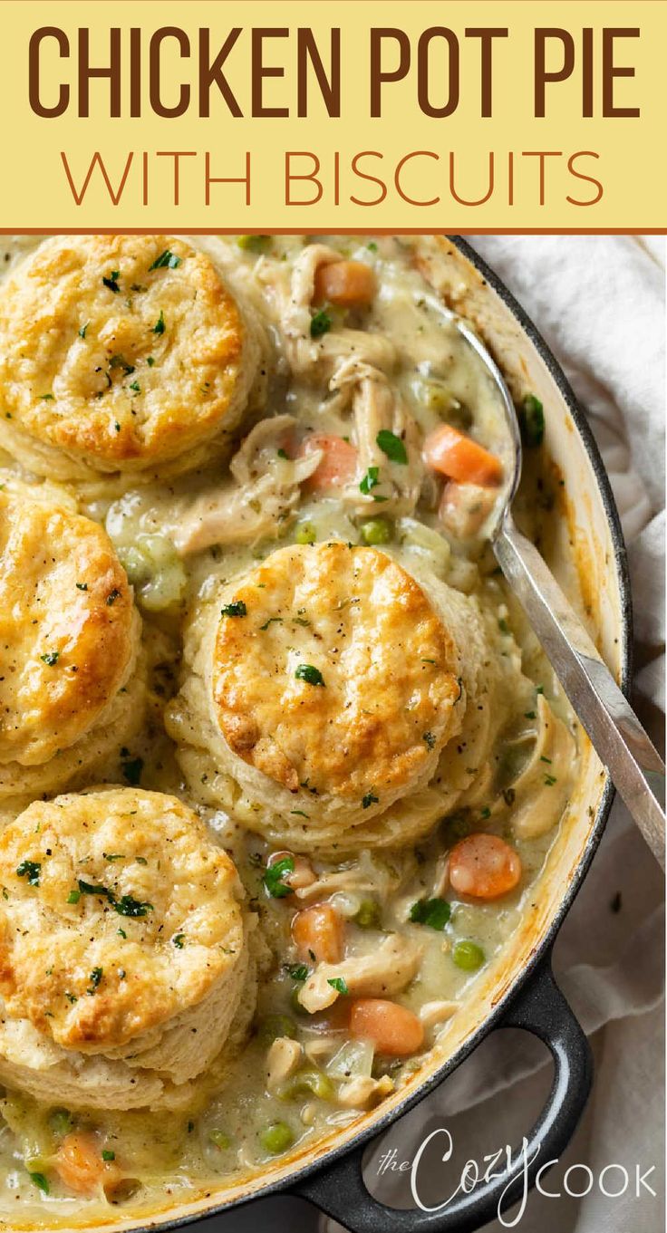 chicken pot pie in a pan topped with biscuits Chicken Pot Pie With Biscuits, Pot Pie With Biscuits, Chicken Pot Pie Filling, Pot Pies Recipes, Chicken Pot Pie Recipes, Winter Dinner, Chicken Dishes Recipes, Dinner Idea, Chicken Pot