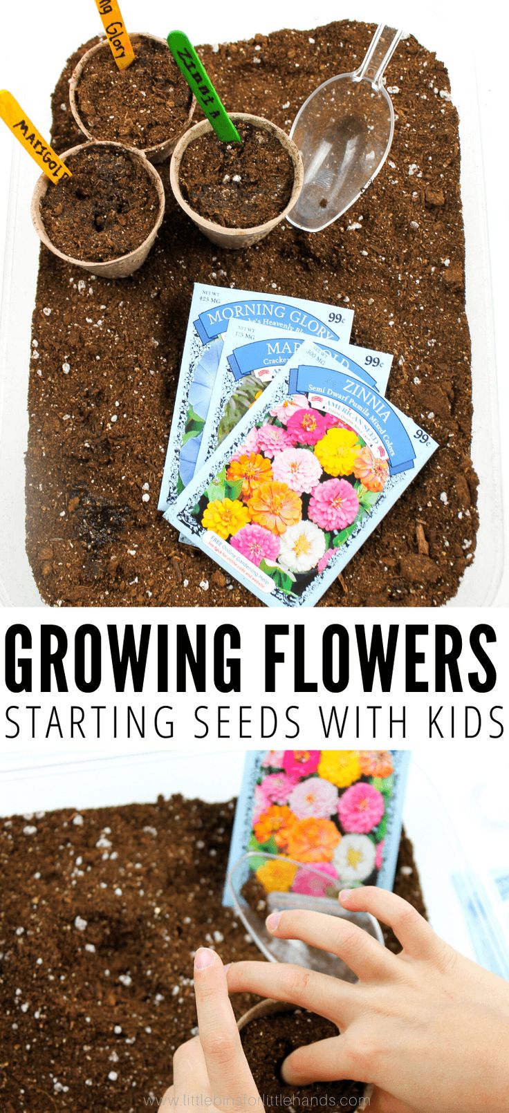 growing flowers with seed packets and spoons in the dirt for kids to grow seeds