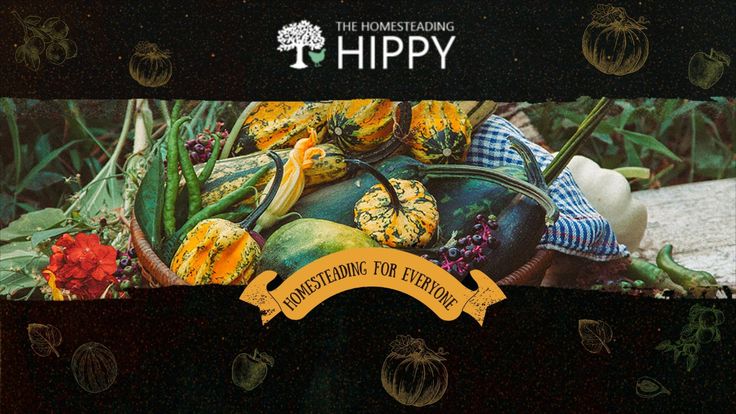 The Homesteading Hippy