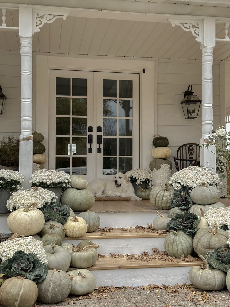 pumpkins and gourds are arranged on the front steps of a white house