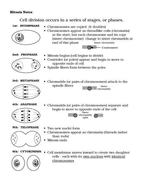 the diagram shows different types of cell phones