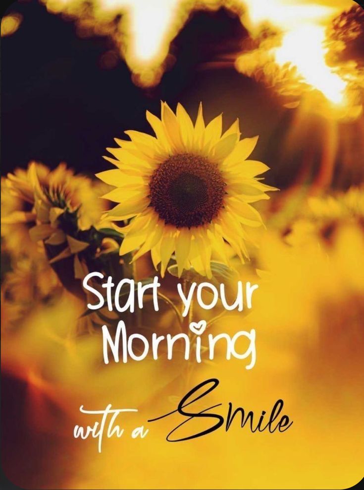 a sunflower with the words start your morning with a smile