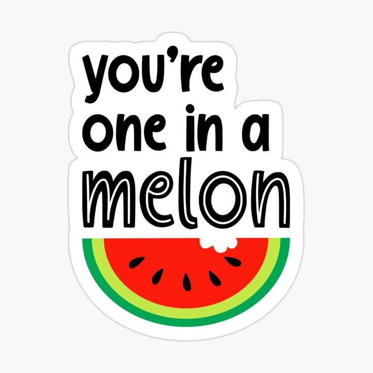 you're one in a melon sticker