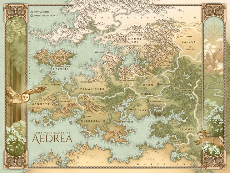 a map of the middle earth with an owl flying over it