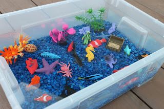 a plastic container filled with different types of sea animals and fish in it's water