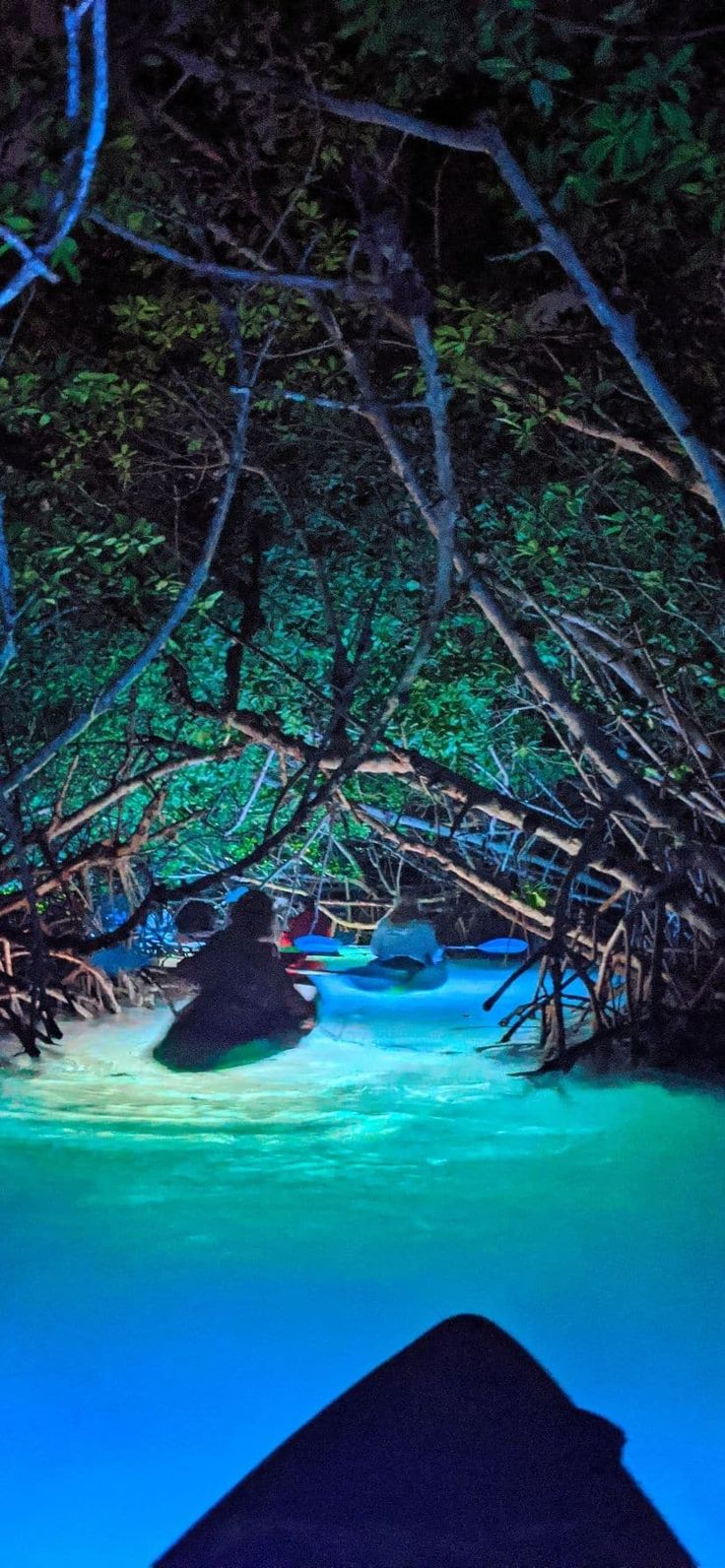 the water is blue and green with trees in it