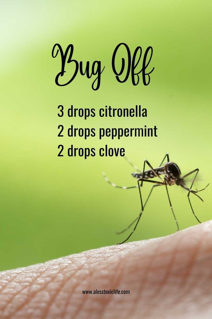 DIY Essential Oil Bug Spray Clove Essential Oil Uses, Peppermint Oil Uses Pest Control, Essential Oil Bug Repellent, Peppermint Oil Uses, Peppermint Spray, Essential Oil Roller Bottle Recipes, Mosquito Spray, Citronella Essential Oil, Natural Bug Repellent