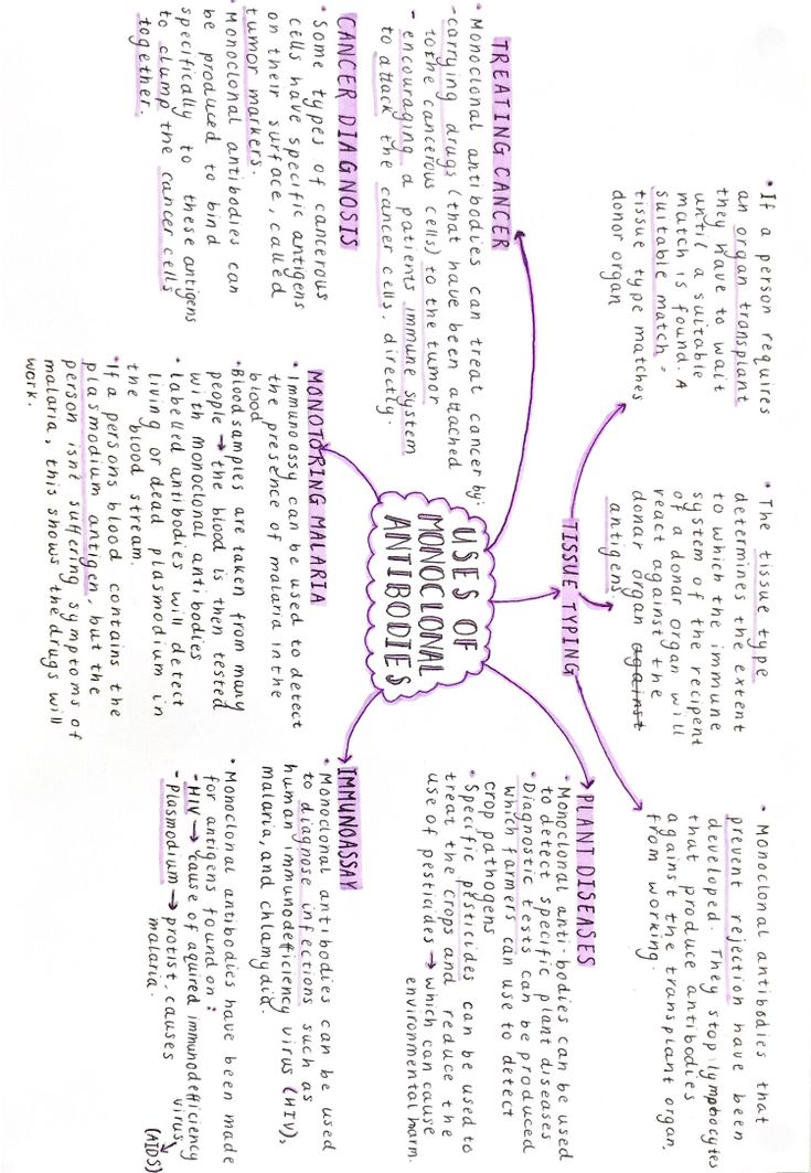 a diagram with words and numbers in purple on the bottom right corner, above which is an image of a cell phone