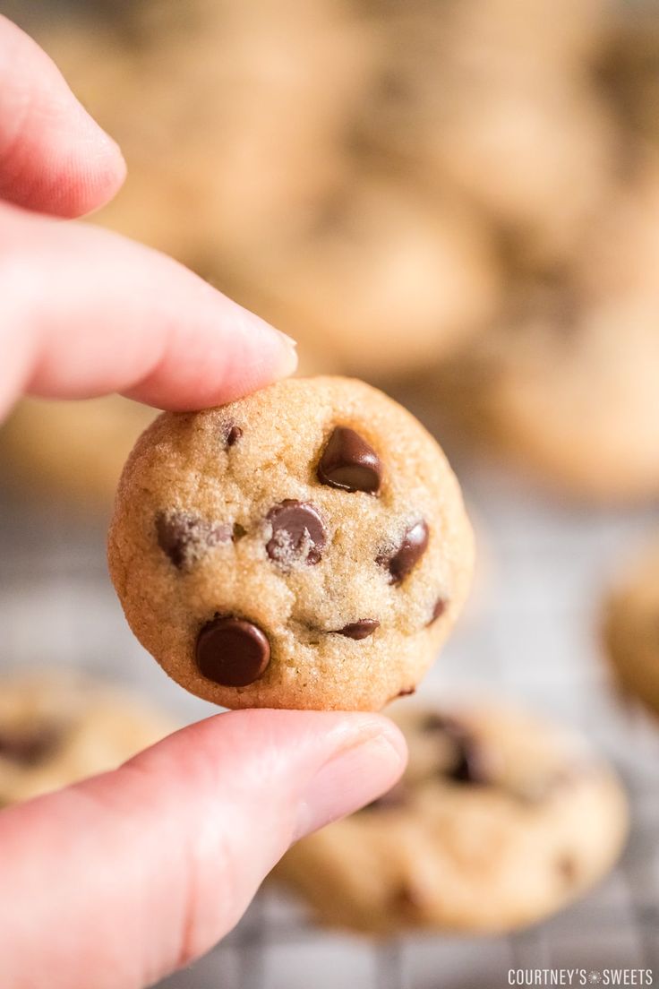 someone holding a chocolate chip cookie in their hand