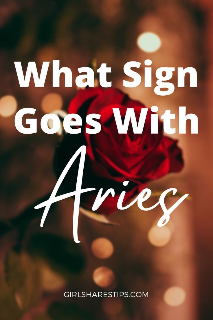 a red rose with the words, what sign goes with ariies