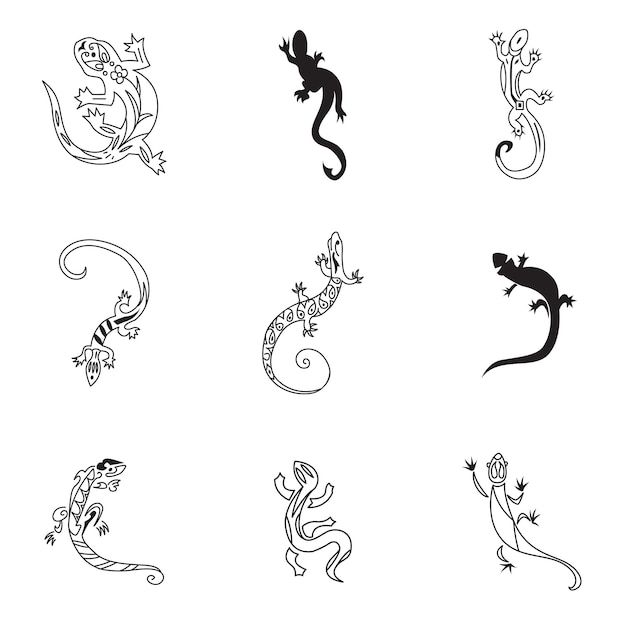 six different lizards are shown in black and white