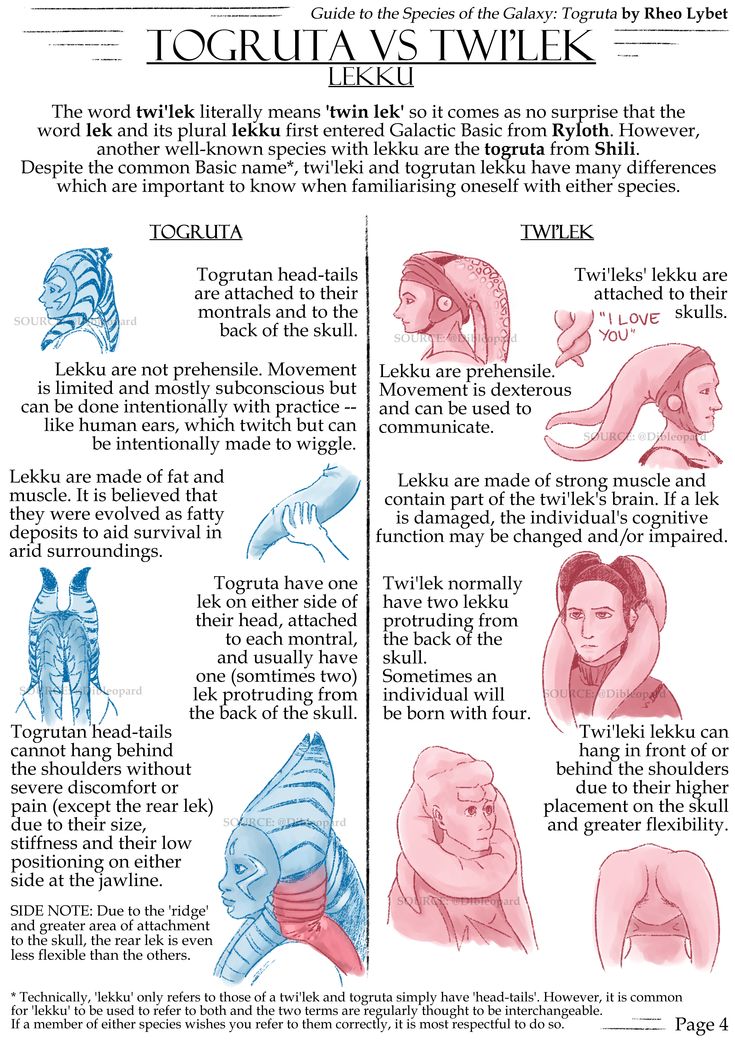 an info sheet describing the different types of animals